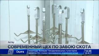 Современный цех по забою скота открылся в Актау