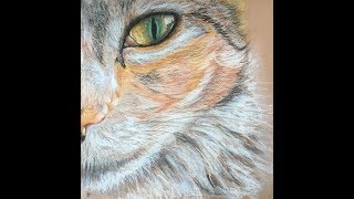 Рисуем кота пастельными карандашами / Cat in pastel / Painting on Pastel pencils