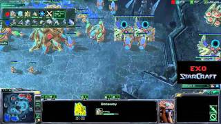 WhiteRa (P)  vs qxc (T)