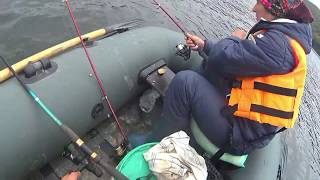 Осінній Дністер , відпочинок та рибалка