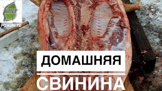 ДА Я ЕМ СВИНИНУ И ВАМ РЕКОМЕНДУЮ