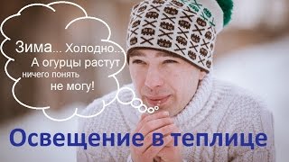 Освещение в теплице и фотосинтез