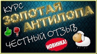 Курс ЗОЛОТАЯ АНТИЛОПА / ЧЕСТНЫЙ ОБЗОР / СЛИВ / goldenantilope.kopymoney.ru