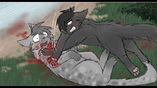 Коты воители смерти (часть 1)