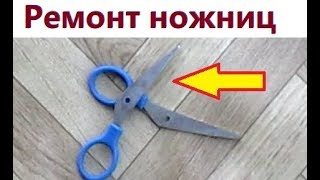 Ремонт ножниц своими руками. Жизнь в деревне.
