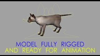 Cat Rig Preview Maya.