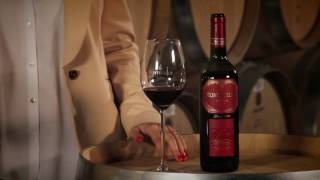 Montecillo Rioja Crianza Wine