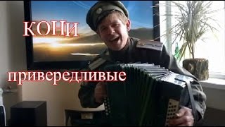 Кони привередливые ♫ Песни под гармонь ♫   Песни Владимира  Высоцкого ♥