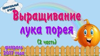 Выращивание лука порея ч 2. Добавление земли в улитку