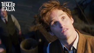 Animali Fantastici e Dove Trovarli | il trailer finale pieno di rivelazioni