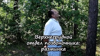 Верхнегрудной отдел позвоночника разминка, упражнения, гимнастика для позвоночника.