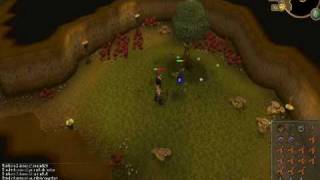 RuneScape Walkthrough: Lost City
