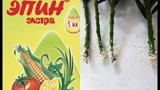 #31 ЭПИН -СТИМУЛЯТОР РОСТА РАСТЕНИЙ . ЭПИН - ЭКСТРА . ГОРМОНАЛЬНЫЕ УДОБРЕНИЯ ДЛЯ РАСТЕНИЙ