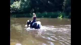 swimming with horse / zwemmen met paard