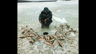 Вечерний клев окуня Якутия Yakutia