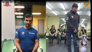 Семинар. Дрессировка собак. Ошибки дрессировщика по курсу "ОКД" и "Компаньон"