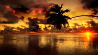 Море закат футаж HD