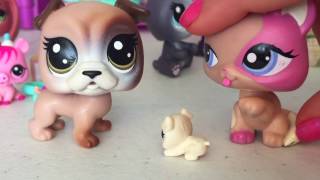 LPS: Daycare