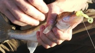 Ловля окуня и судака на техасскую оснастку