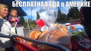 Голодные Иммигранты Пошли в ФУДБАНК за Едой - БЕСПЛАТНАЯ ЕДА в АМЕРИКЕ