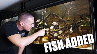 The central american aquarium