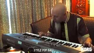 Jordan Rudess Korg Pa 900