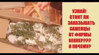 Посылка от БЕККЕР. Стоит ли заказывать? Реальный отзыв.