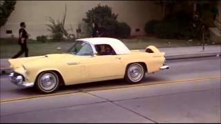 Funny Scene In CHEECH AND CHONG - NEXT MOVIE
