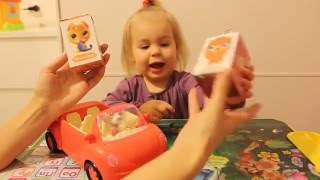 Распаковка сюрпризов СВИТ БОКС Питомцы Пушистики. Sweet box