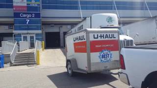 Wild Cichlids Shipments