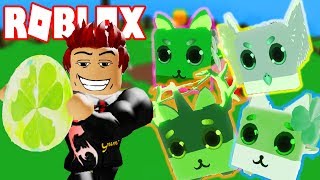 Roblox - Update Mới Code Và Quả Trứng Pet May Mắn | Pet Ranch Simulator