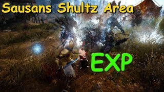 Sausan Shultz Area EXP | Party and Solo | Black Desert Online