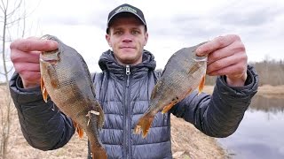 Ловля Окуня весной на съедобную резину на речке. Рыбалка на спиннинг.