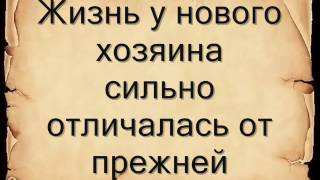 Антон Павлович Чехов "Каштанка"