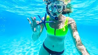 Оргазм под водой за 20$. Занзибар для взрослых