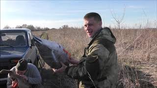 Охота 2019, весна, где Гусь ? ПОЖАР ! (18+)