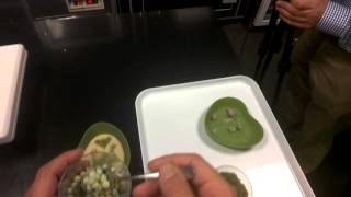 Jordi Roca monta su ensalada de guisantes con Google Glass