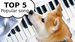 ПОПУЛЯРНЫЕ ПЕСНИ НА ПИАНИНО TOP 5 Popular song piano самые простые и красивые мелодии фортепиано