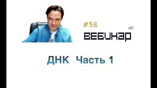 ДНК Часть 1 (начало)