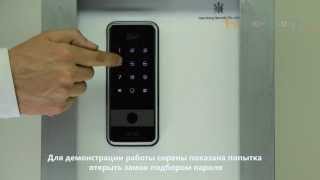 Электронный кодовый дверной замок с сиреной. Обзор H-Gang Touch On
