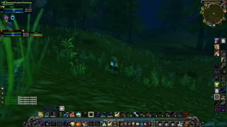 World of Warcraft: Vanilla 1.12.1, PVP, (Elysium) дру и хант 48+ (трешим Зулфарак)