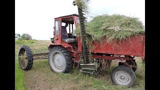 Самодельная коса + Гребка. Уборка сена и травы.