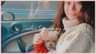 서울에서 당일치기 겨울 여행 ☃️ (태백 만항재, 강아지랑 스냅촬영)