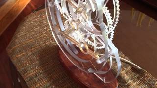 Toucan Clock  in Lexan