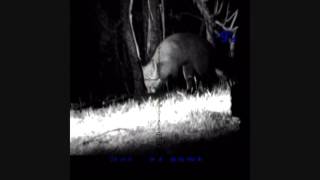 Pulsar Digisight N870 Stealth IR Foxes