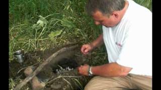 Edibles: Thistle Abundant Food Source