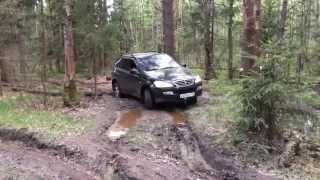 Предложили покататься по "легкому" бездорожью ssangyong kyron