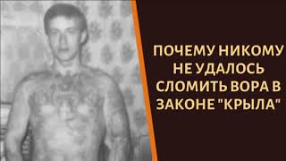Почему никому не удалось сломить вора в законе "Крыла"