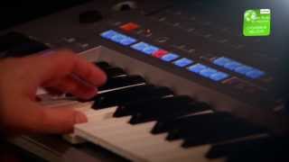 Cygańskie Melodie - Style Expansion Pack for YAMAHA - MIDI24.pl