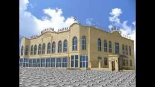 MUNASIB SADLIQ SARAYI-GENCE SEHERI-GULUSTAN QESEBESI